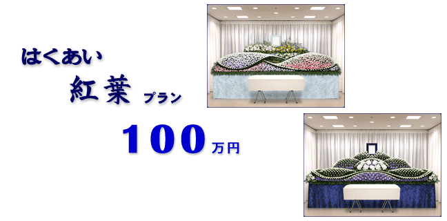 �͂������g�t�v�����@100���~