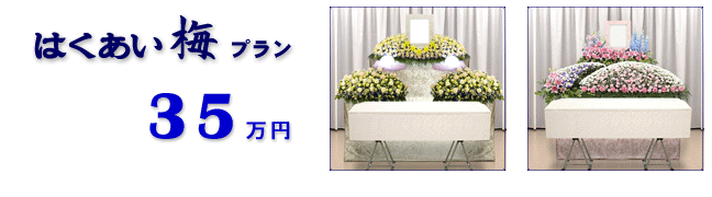 �͂������~�v�����@35���~