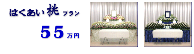 �͂��������v�����@55���~