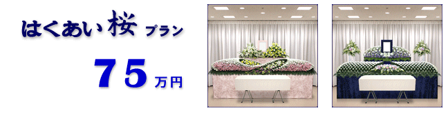 �͂��������v�����@75���~